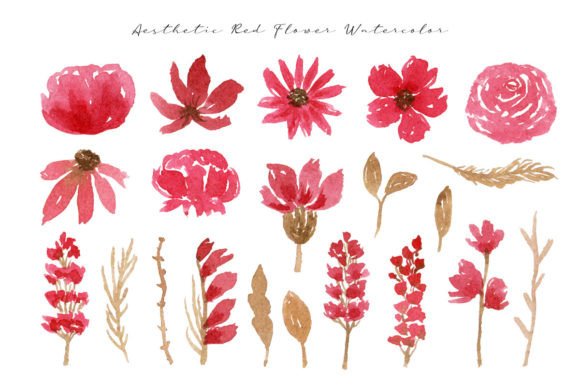 Aesthetic Red Wild Flower Watercolor