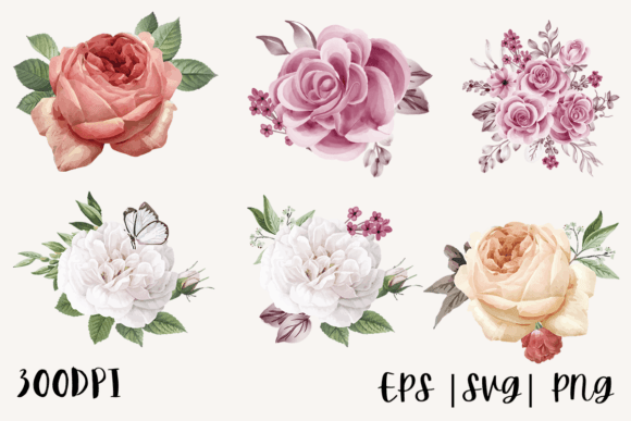 Decorative Watercolor Roses PNG Bundle: Elegant Illustrations for Brand & Marketing Visuals