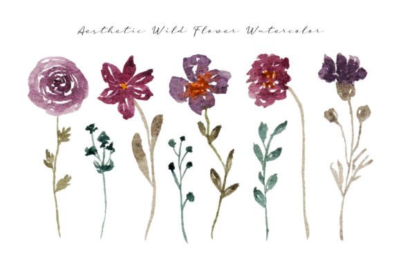 Elegant Wild Flower and Leaf Watercolor Illustrations for Editorial Charm