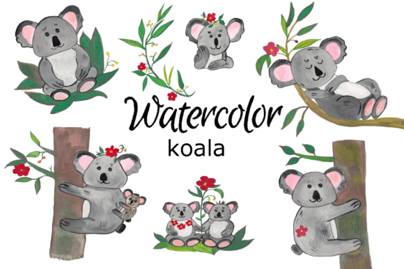 Koala Watercolor Clip Art and Illustrations