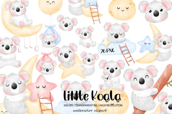 Little Koala Bear Watercolor Clipart Review