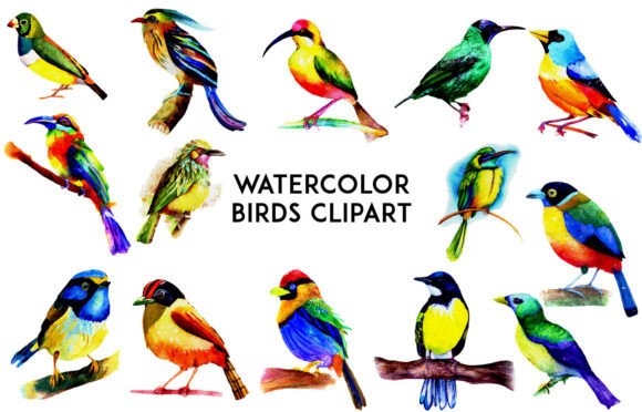 Watercolor Birds Clipart: A Designer’s Honest Review for Real Client Projects