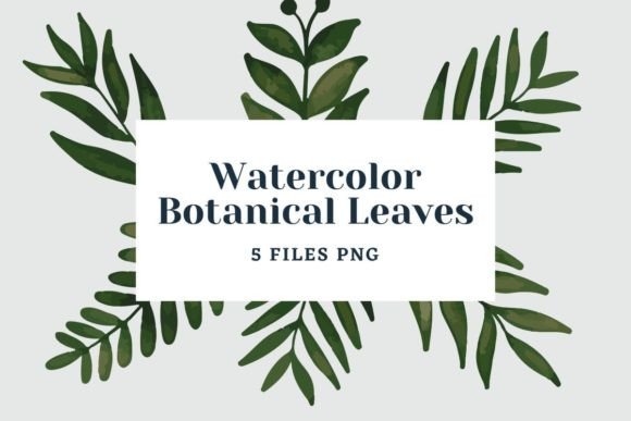 Watercolor Botanical Leaves Pack 29: A Fresh Illustration Bundle for Lifestyle and Branding Visuals