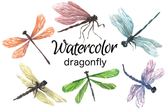 WATERCOLOR CLIPART Dragonfly Insects