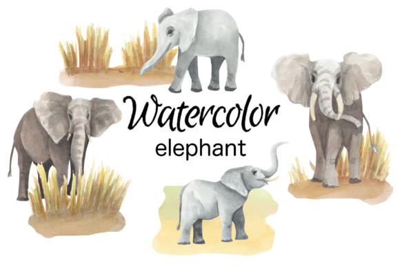 Watercolor Clipart Elephant Animals Art for Local Business Branding