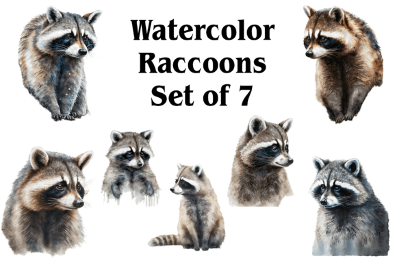 Watercolor Raccoons: Playful Illustrations for Local Brand Identity and Packaging Design