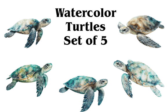 Watercolor Turtles Illustrations for Crafters & Etsy Sellers