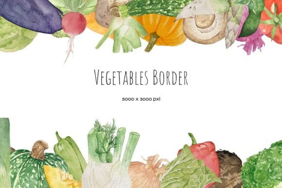 Watercolor Vegetables Border PNG EPS Review